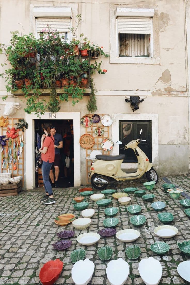 Lisbon flea left